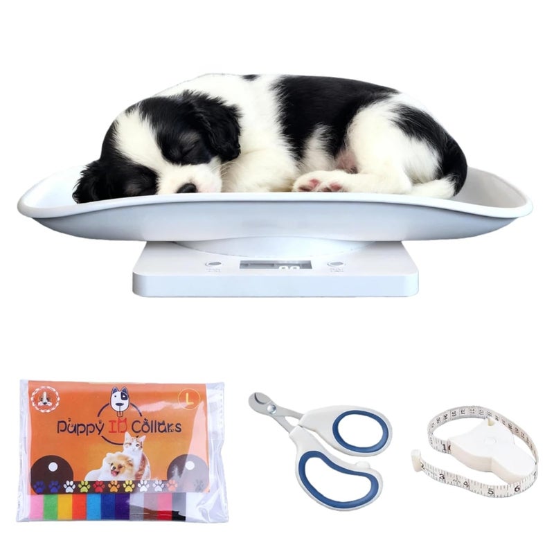 Kytree Digital Pet Scale for Small Animal, LED Display Puppy Whelping Scale with Tape Measure, Collar, Scissors for Newborn Pets, Cats, Dogs, Animals, Measures Up to 15kg, 11.4 * 7.1" (White) - Image 1